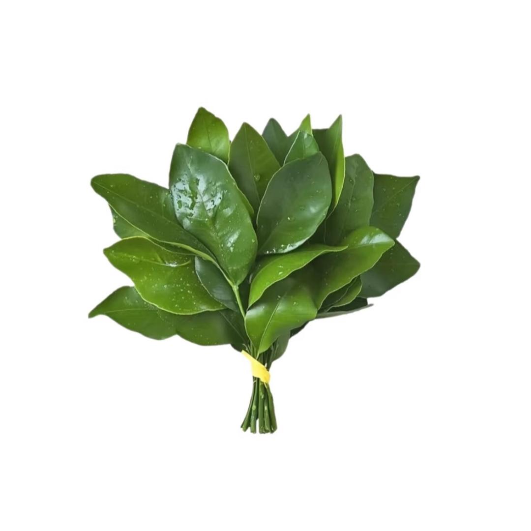 钞好运   .