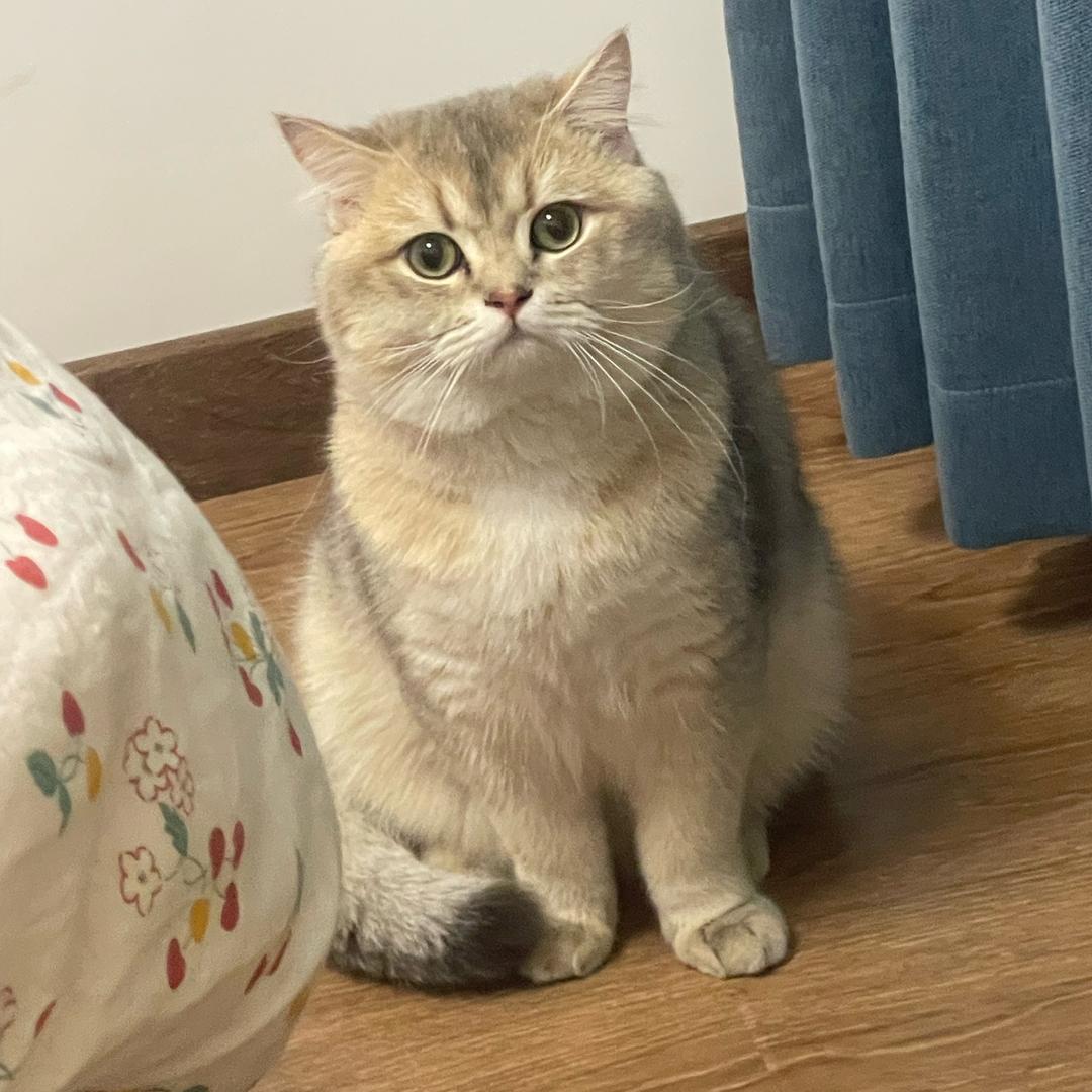 来财来来来