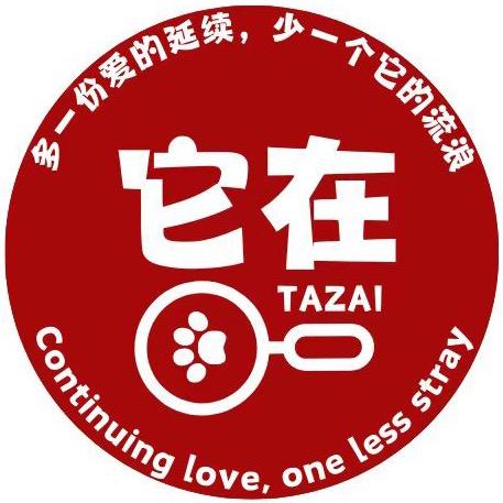 上海它在科技