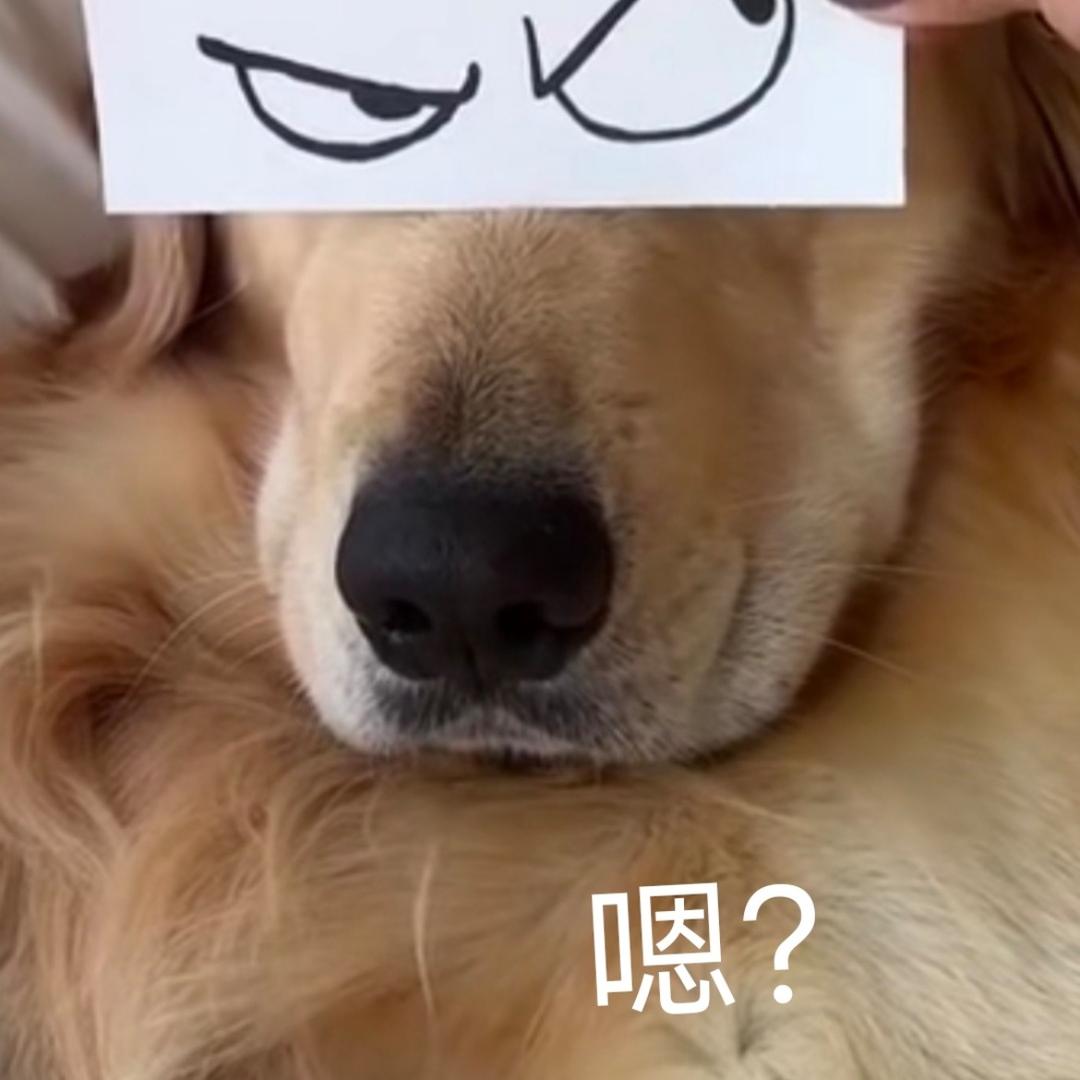 装比 让你飞起来