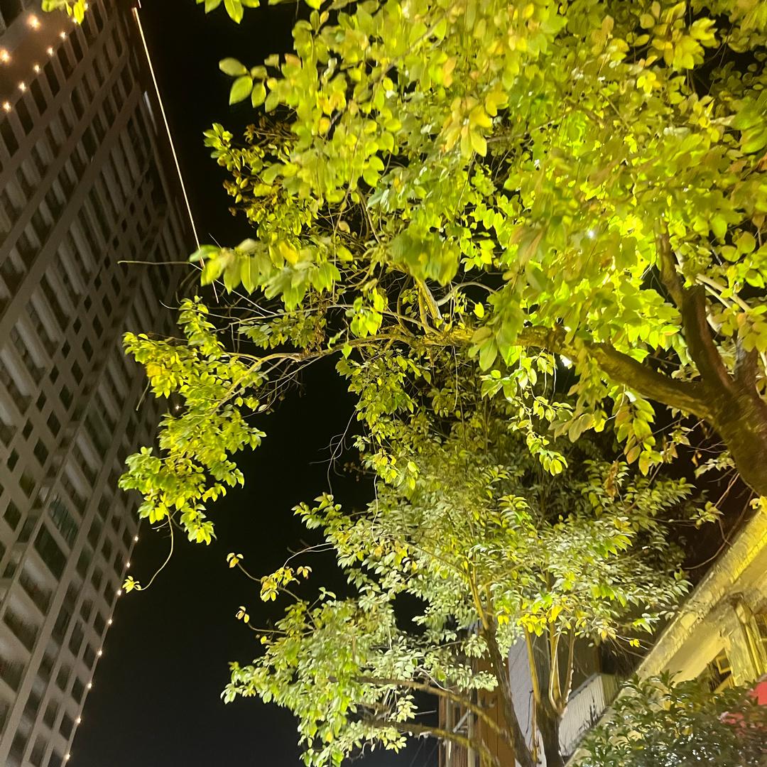 热血江湖老萧