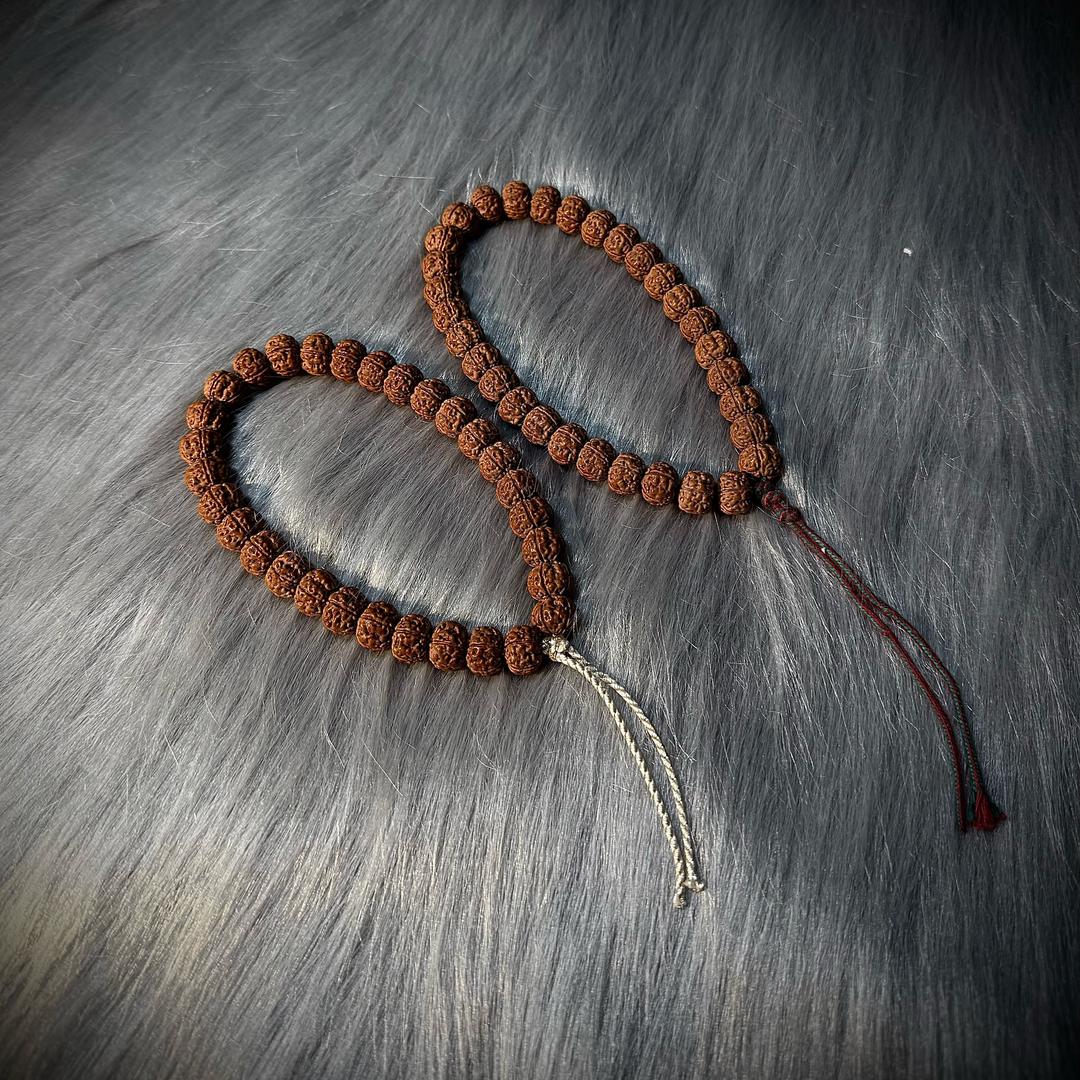 山骨出品日播号