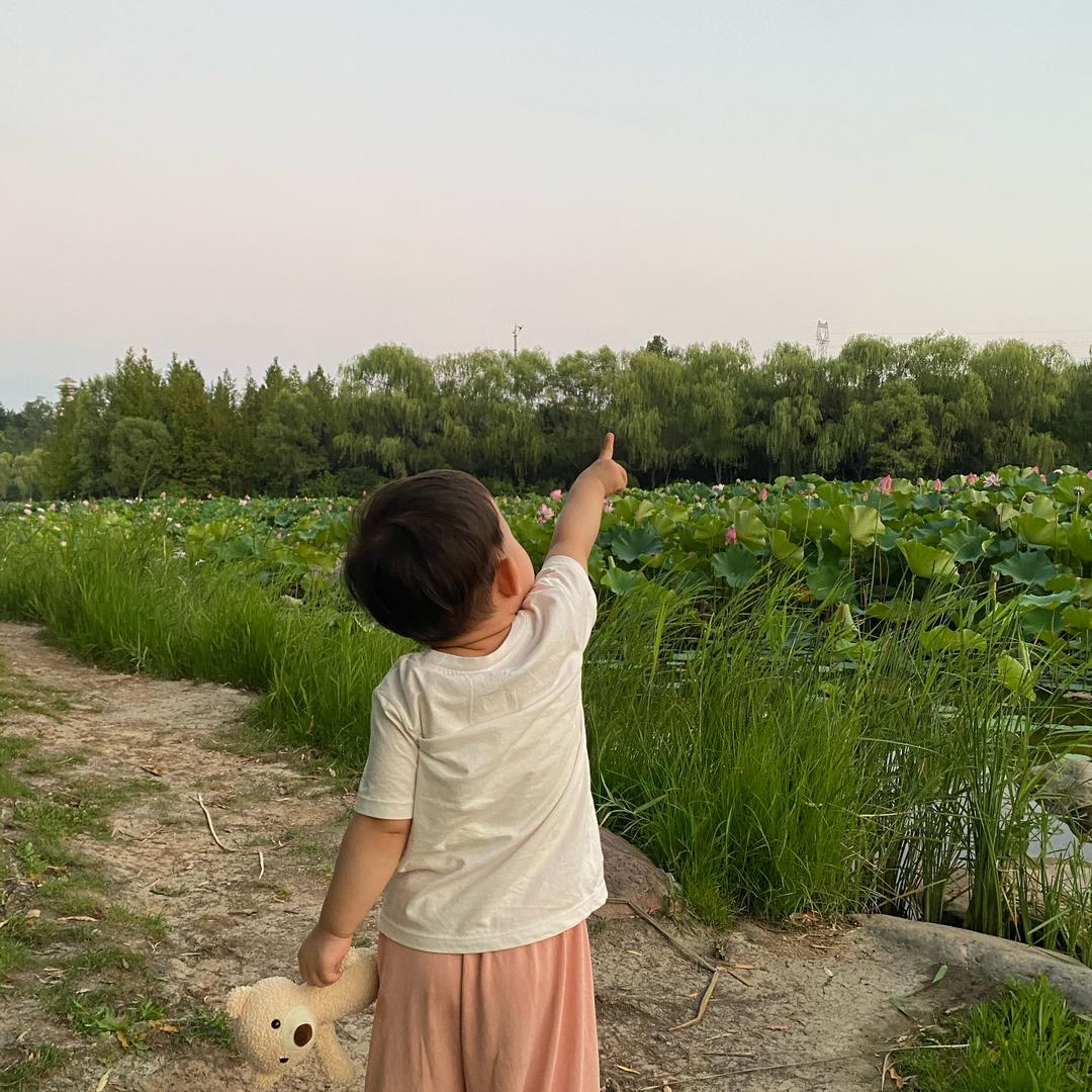 农村李姐，晚上七点四十首播