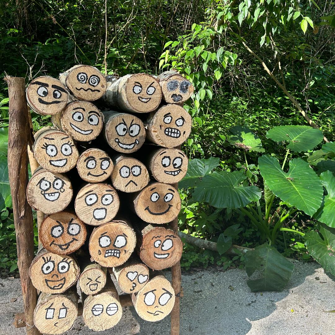 山西专科志愿填报-赵老师