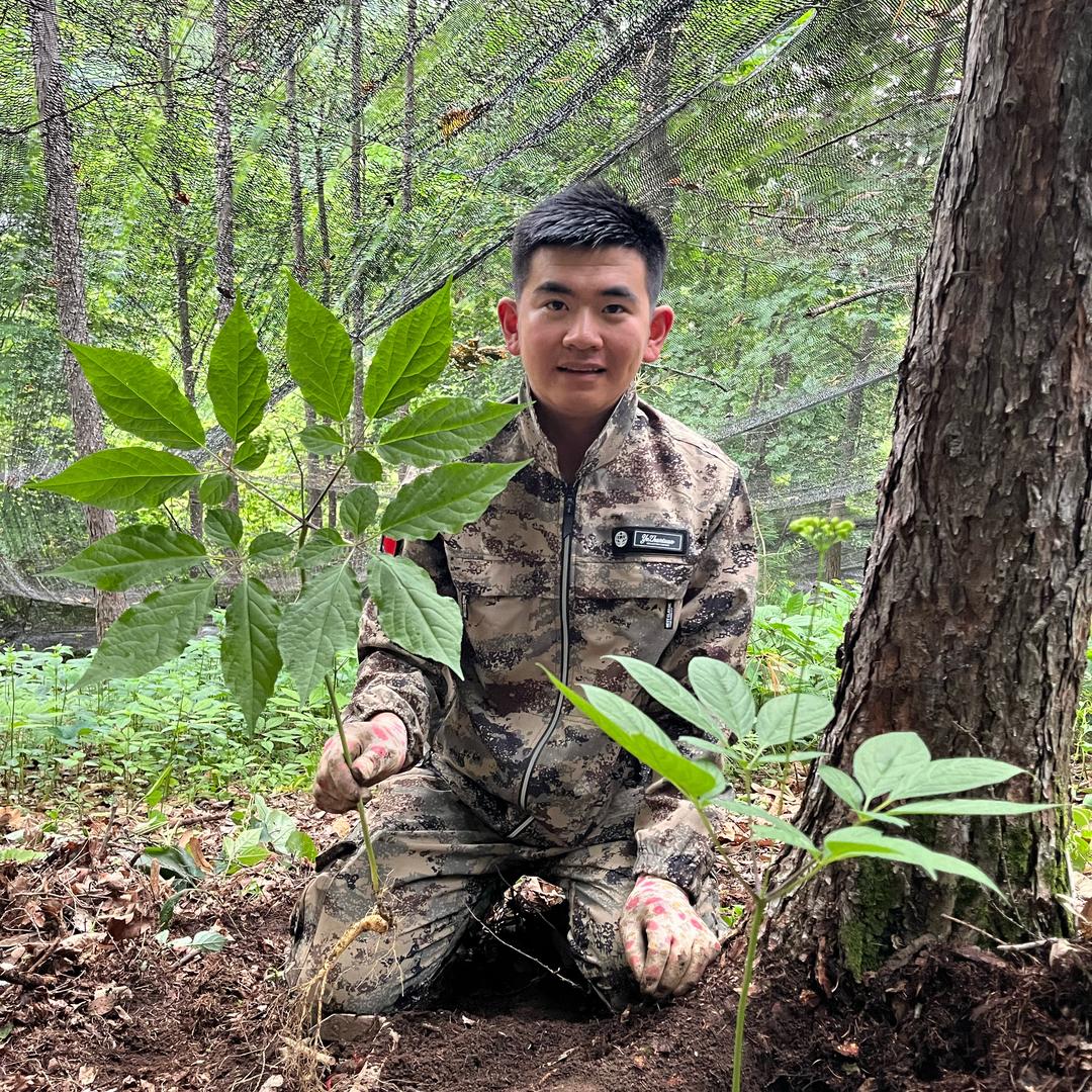 人参少爷(福参记)@东北好地方