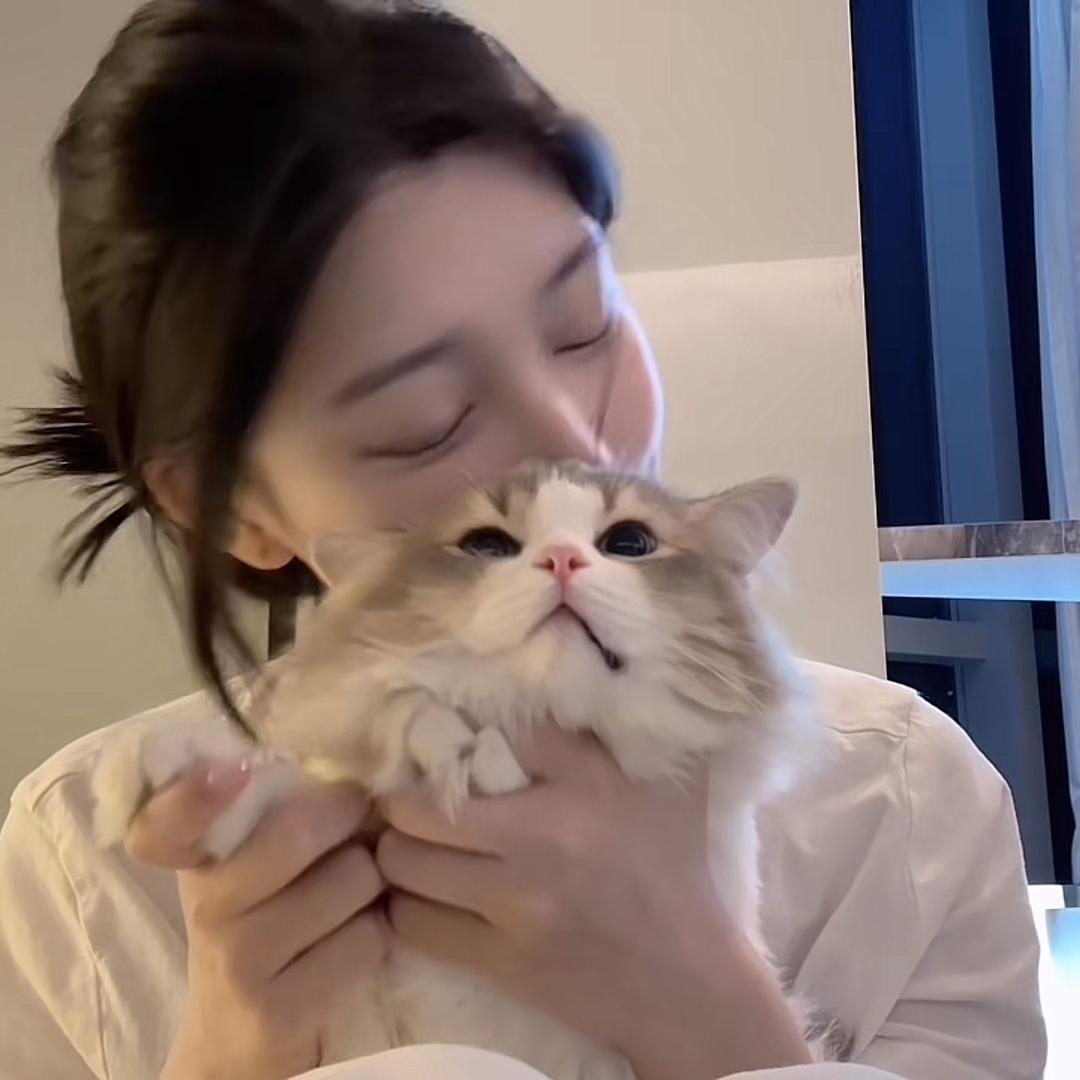 耶汁