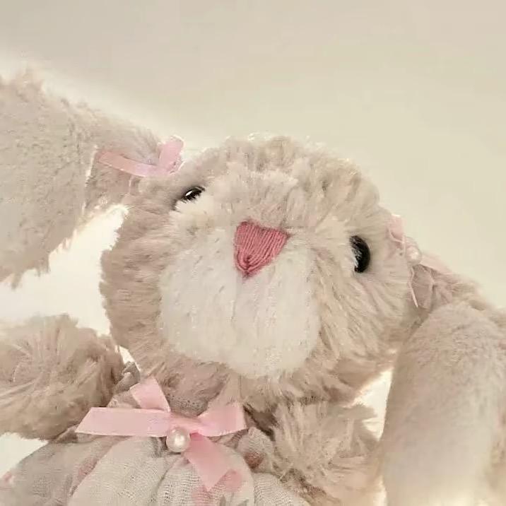 小y