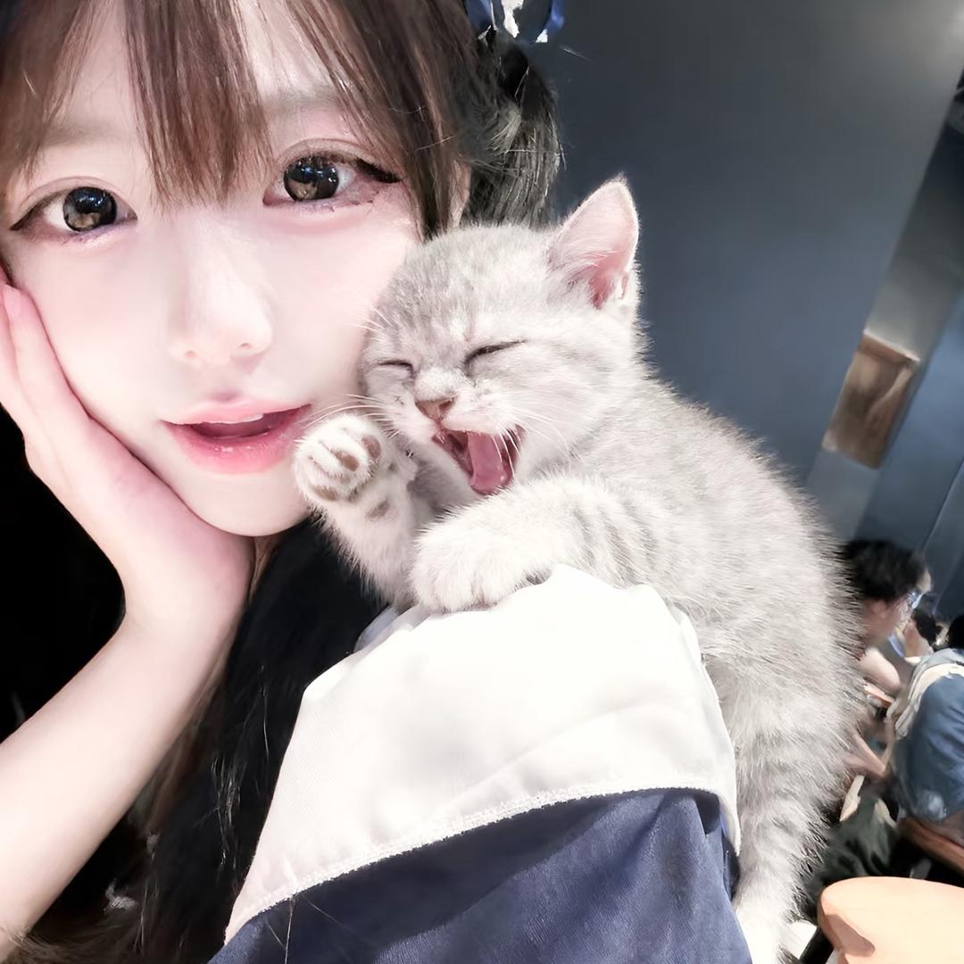 苦瓜