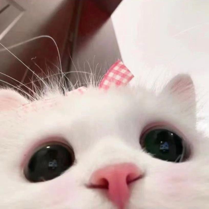 記得小彬