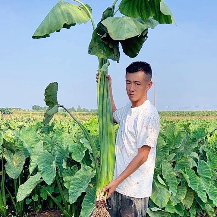 @殷小月