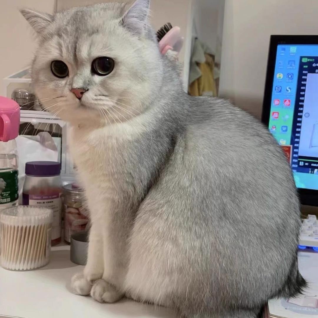 🌈YR🧊