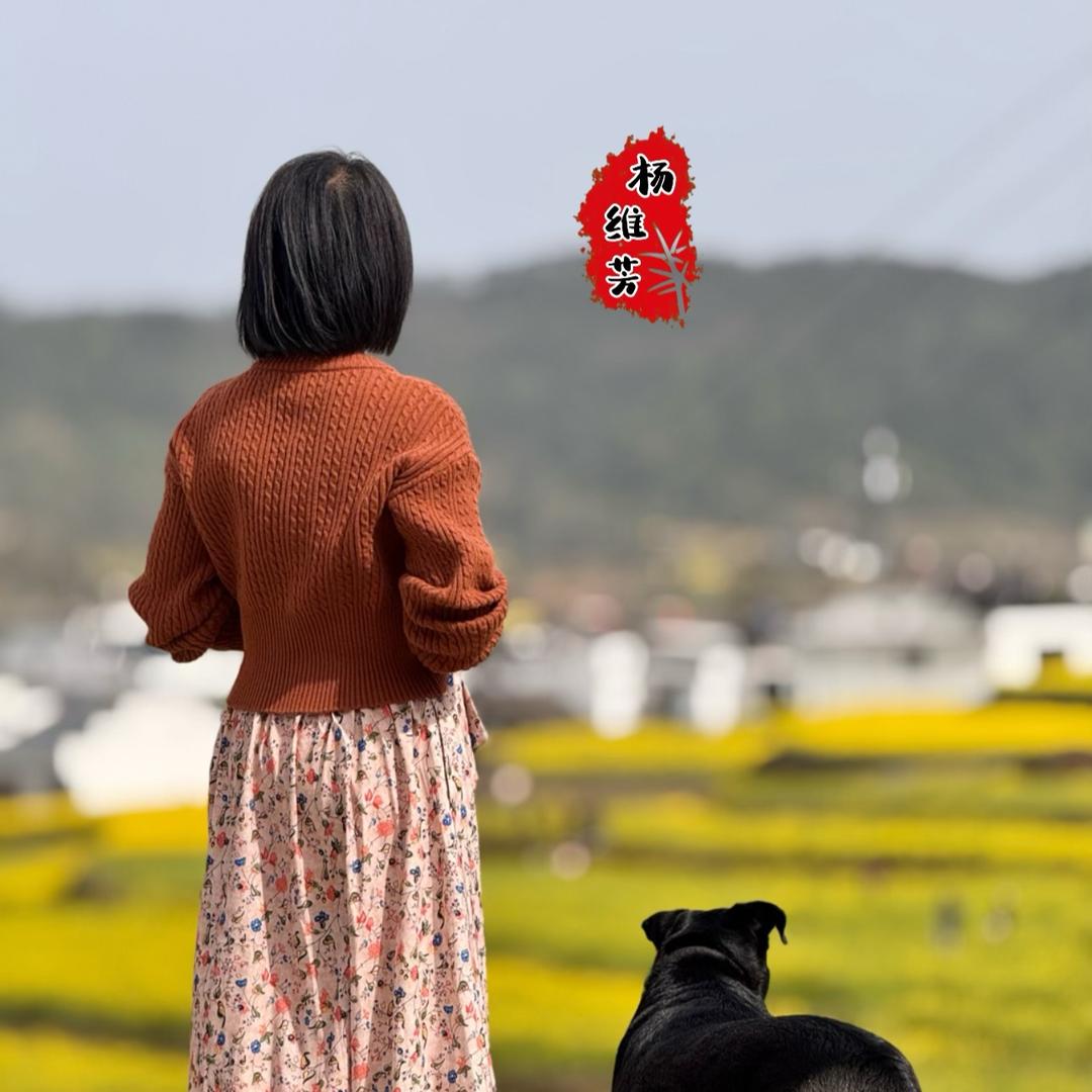 杨维芳