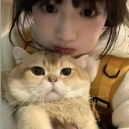 悦悦大王^