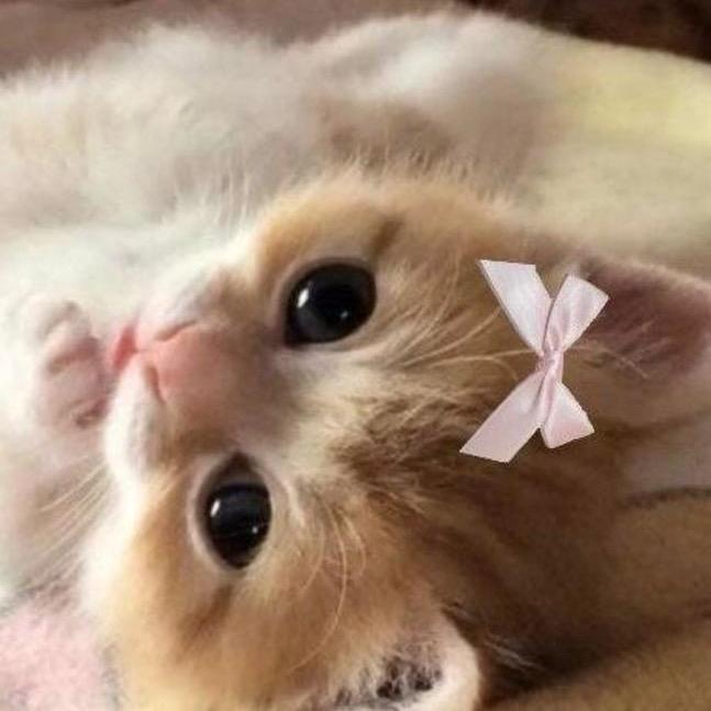 泥泥