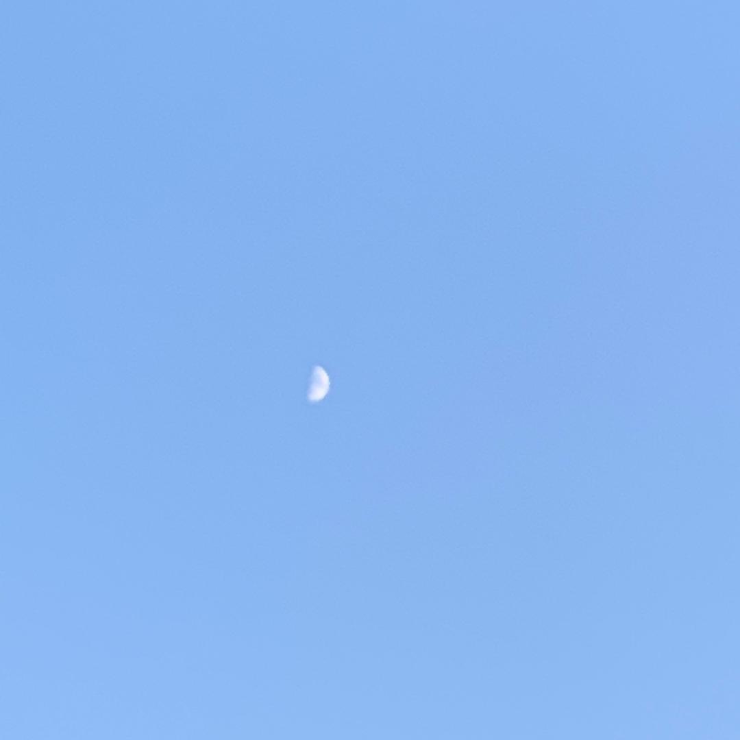 奥