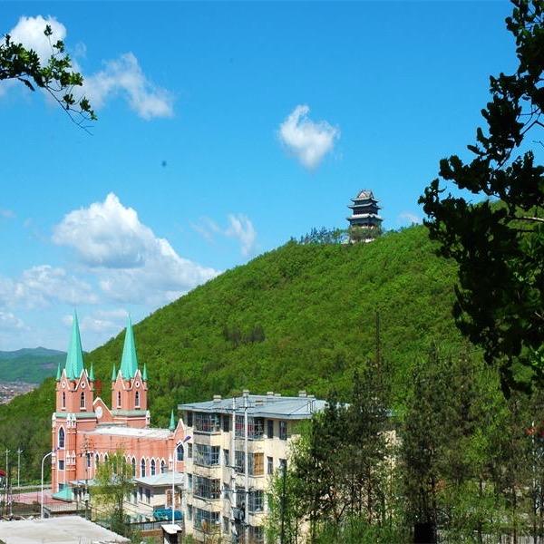 萤火虫.