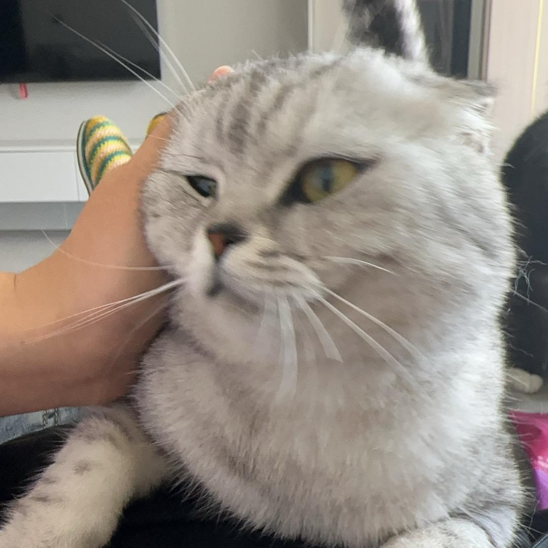顶级吃货