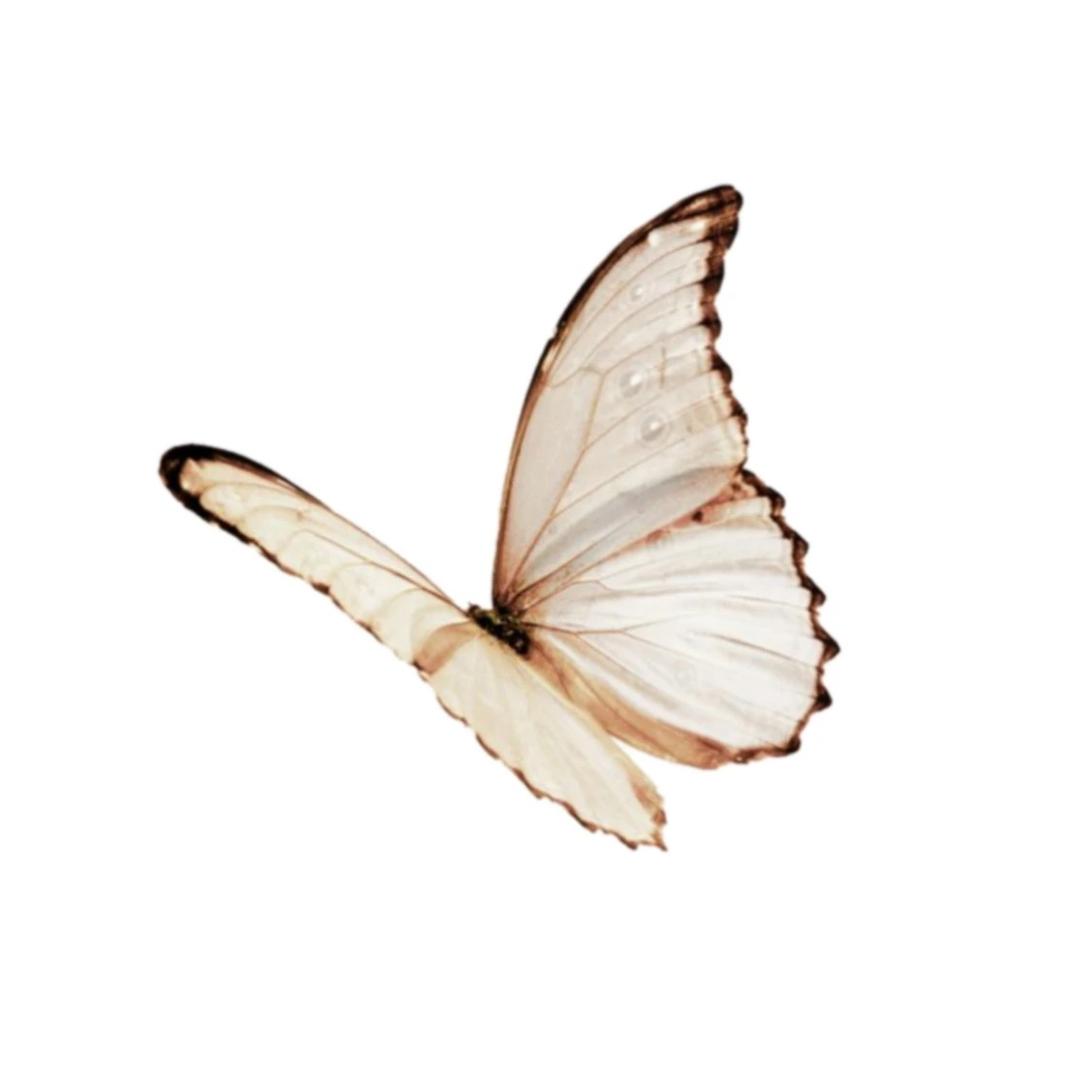 00