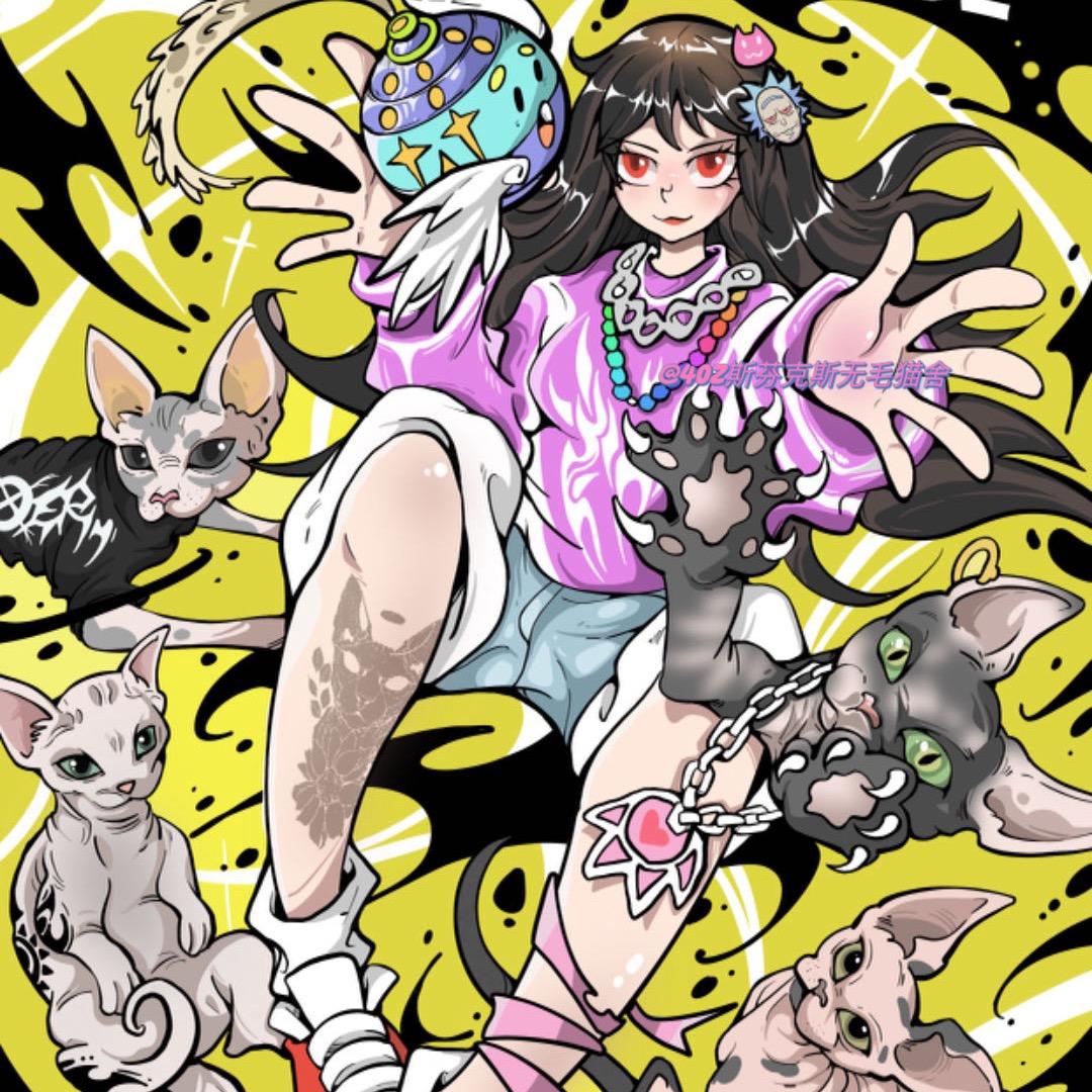 40Z斯芬克斯无毛猫