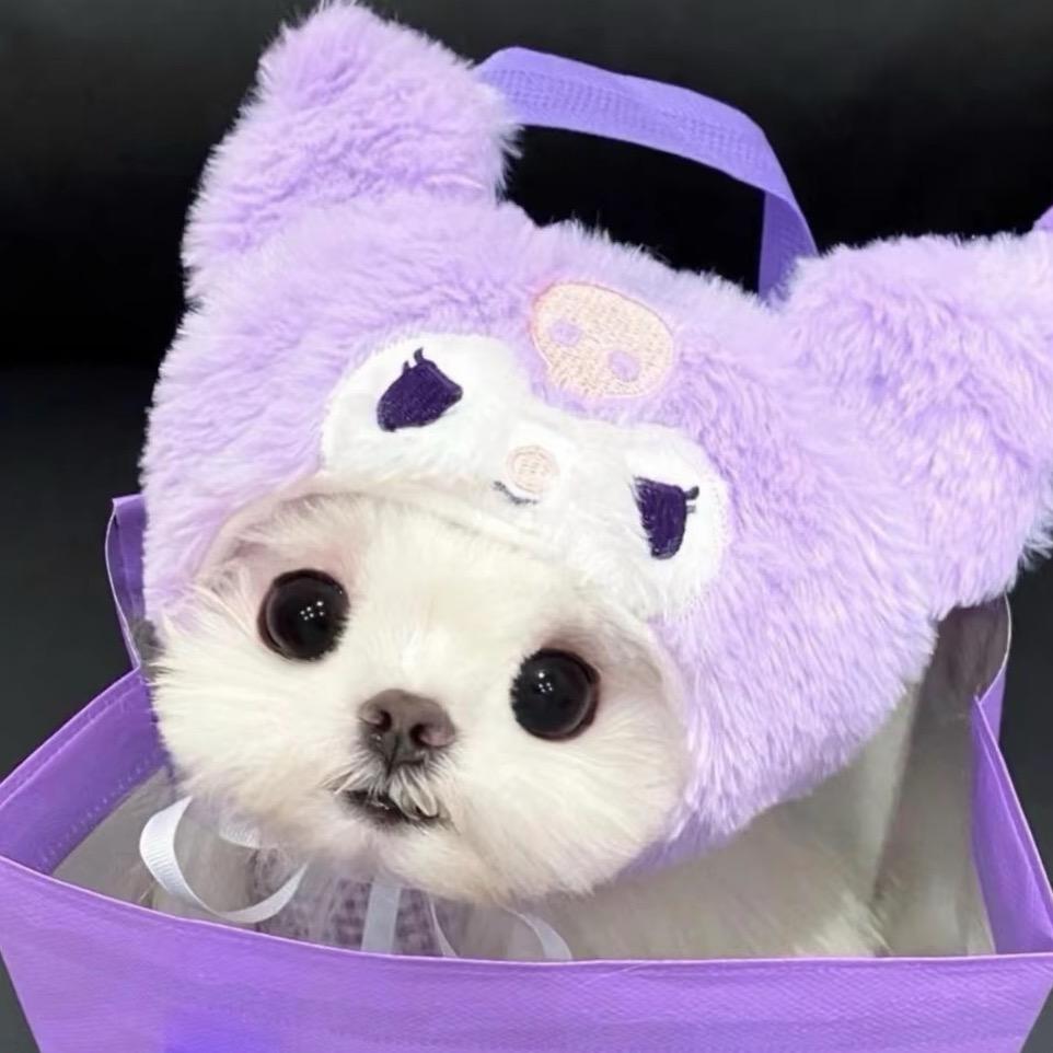 🧊饼.