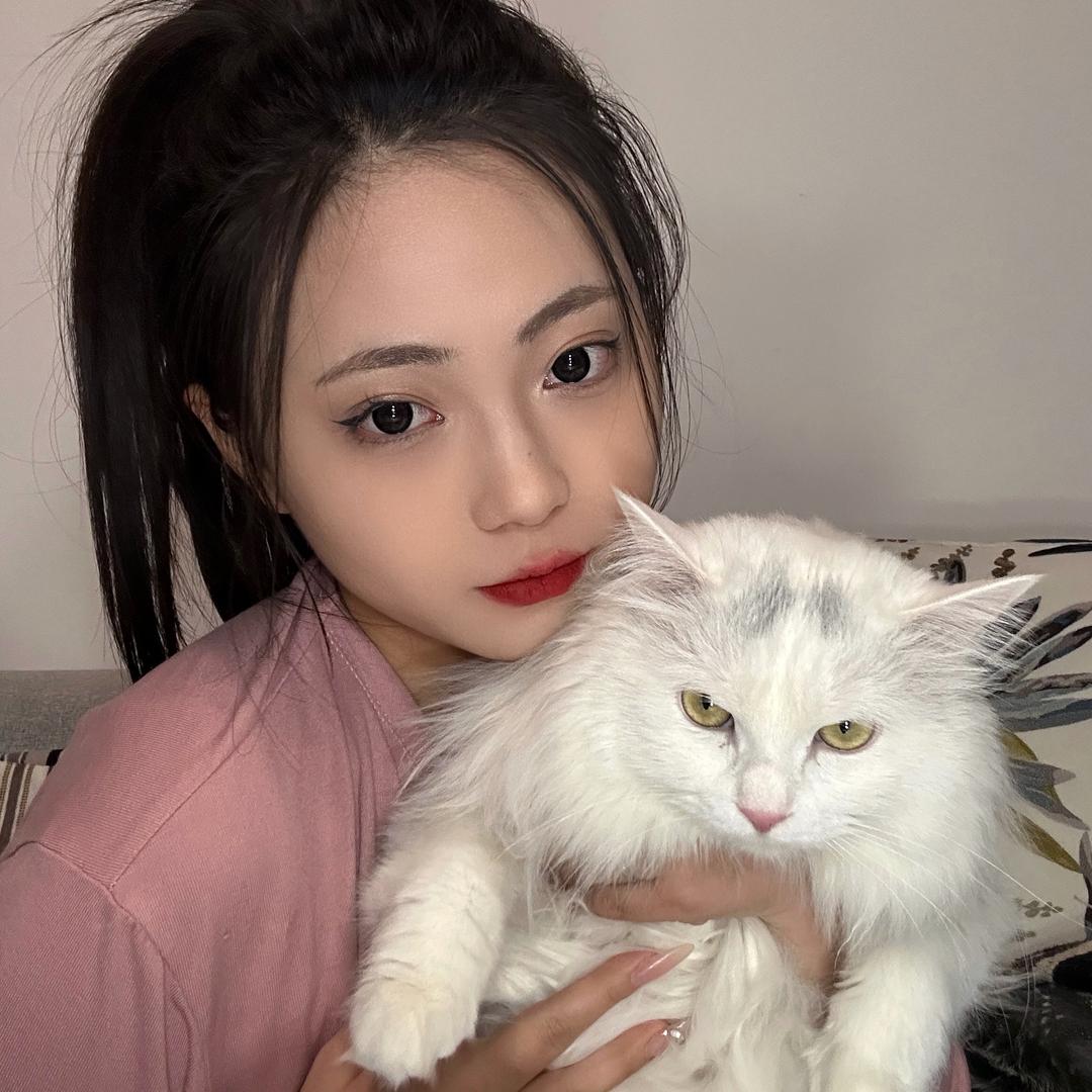 白糖（三角洲行动）