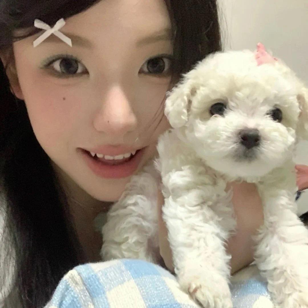 被雨淋湿的小狗