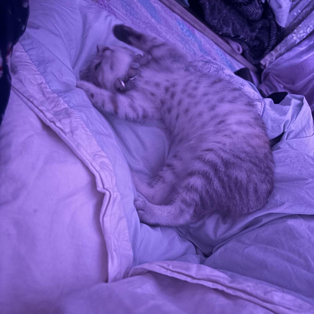 💞💞