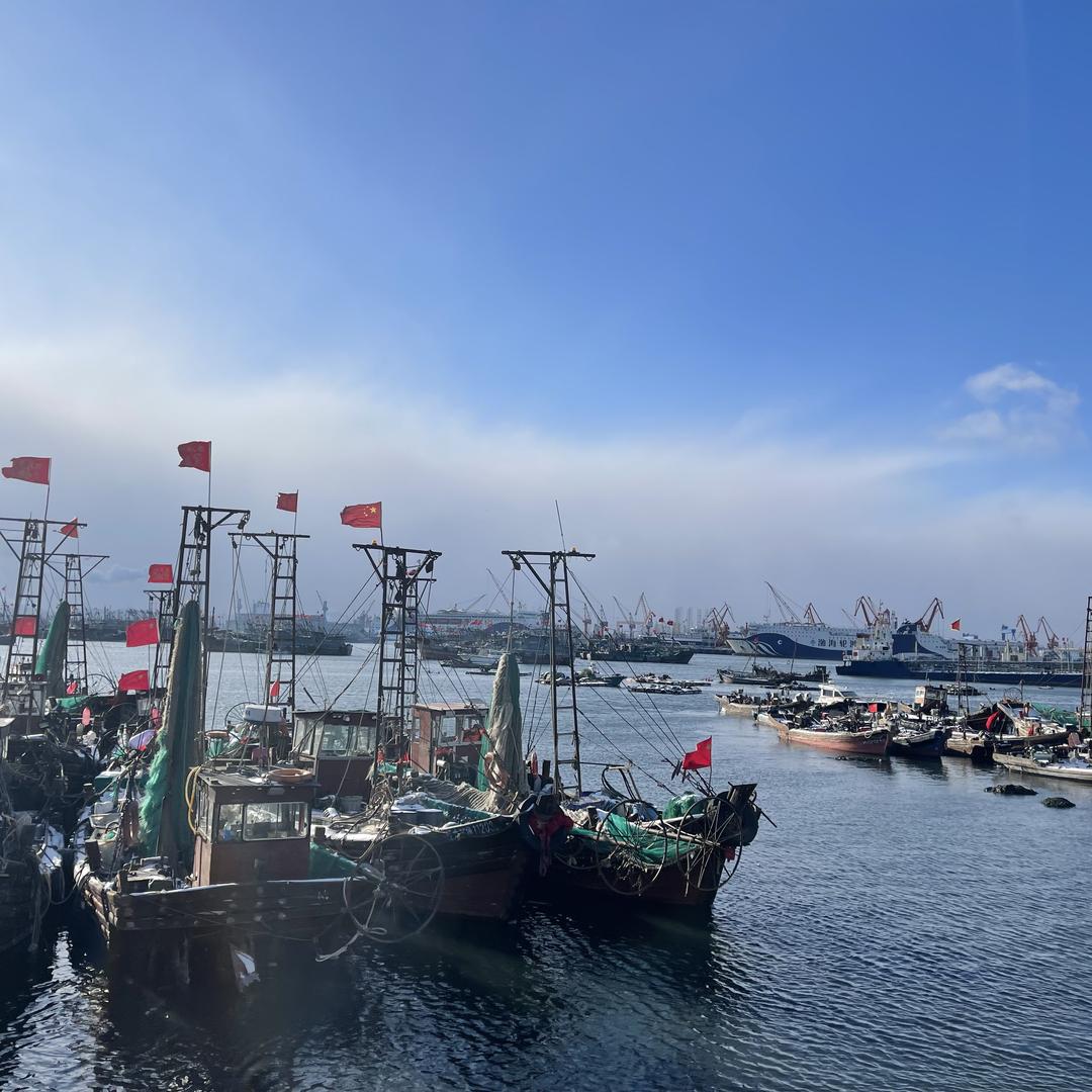 顾家海鲜
