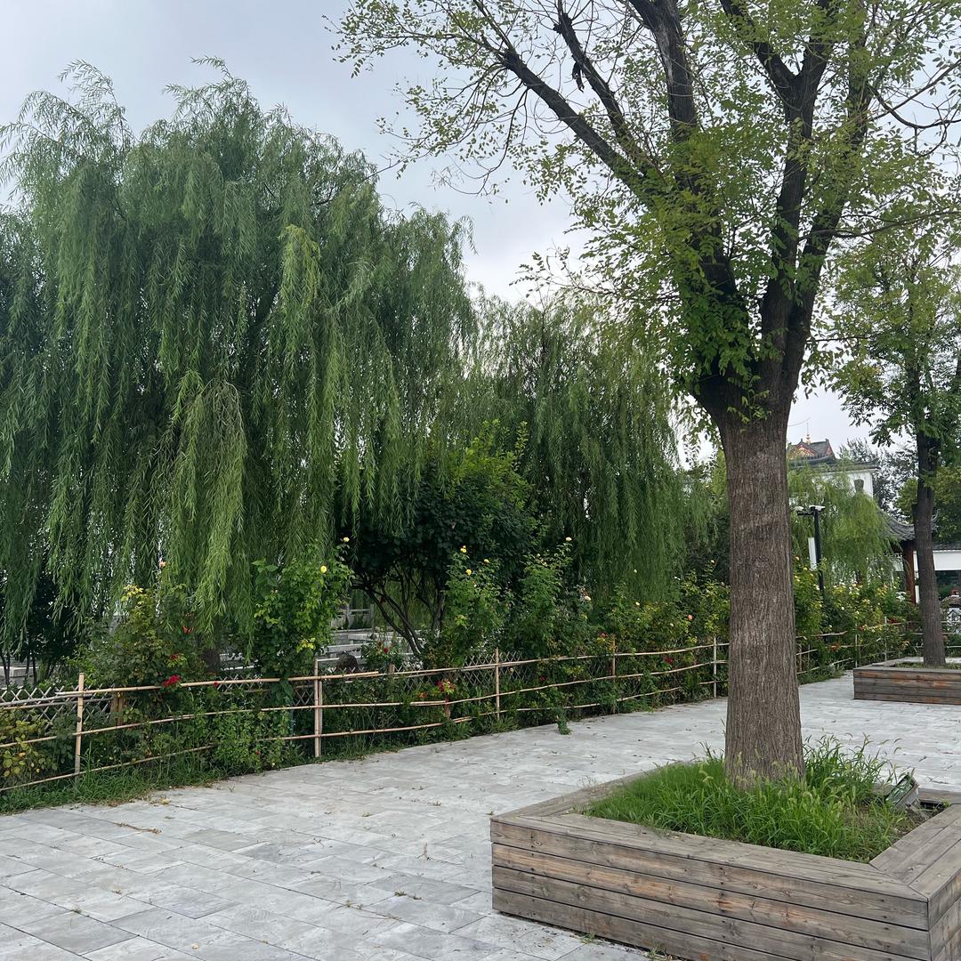 连山之炁