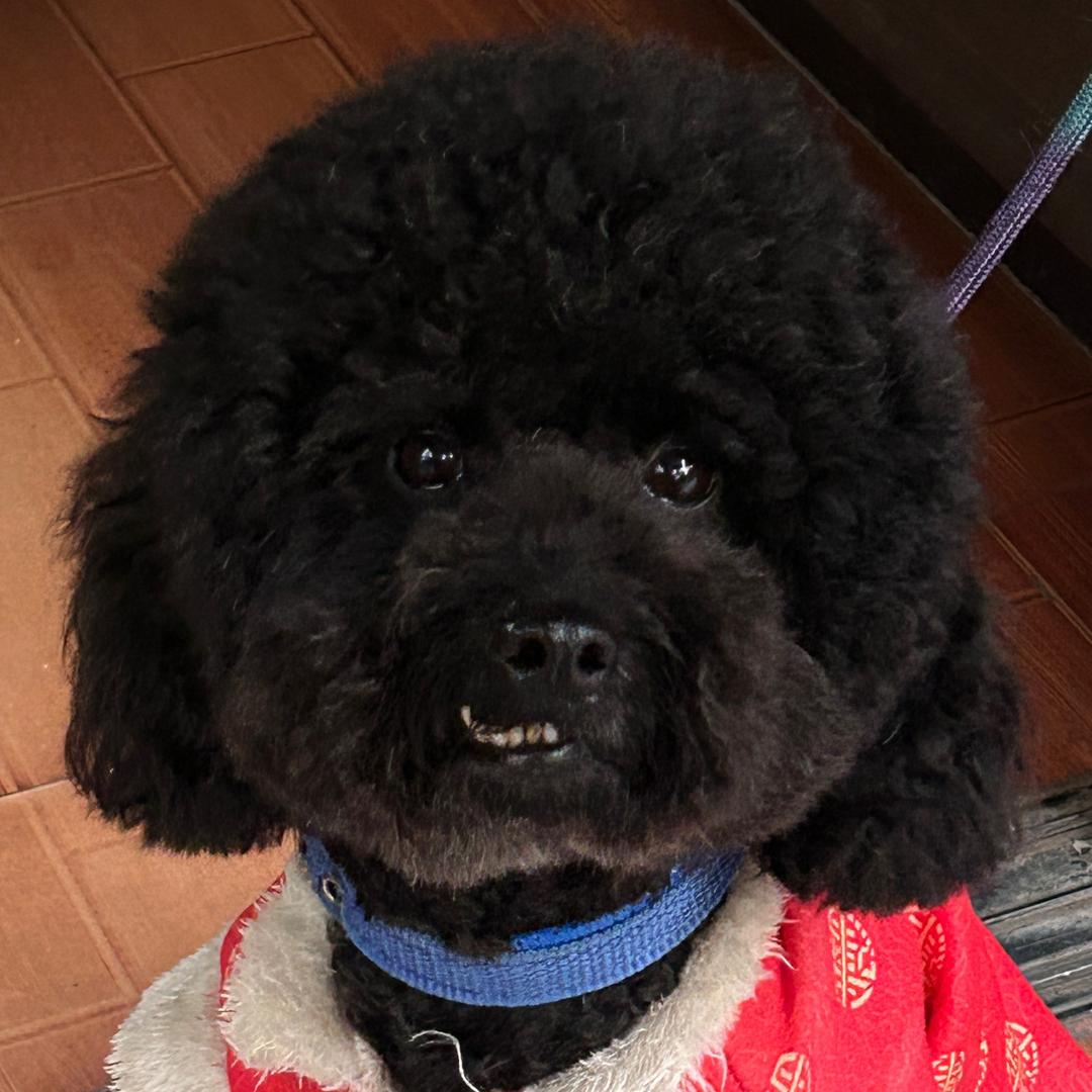 我叫QQ