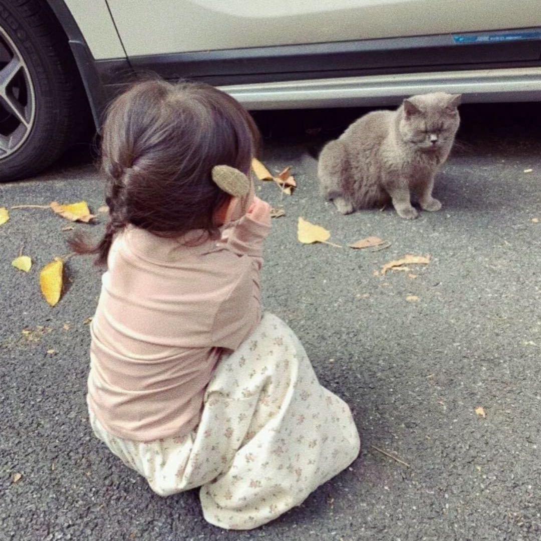 小小文、