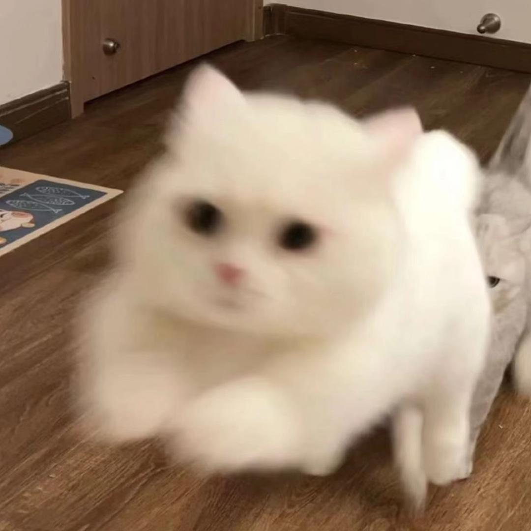 荔枝碎冰冰