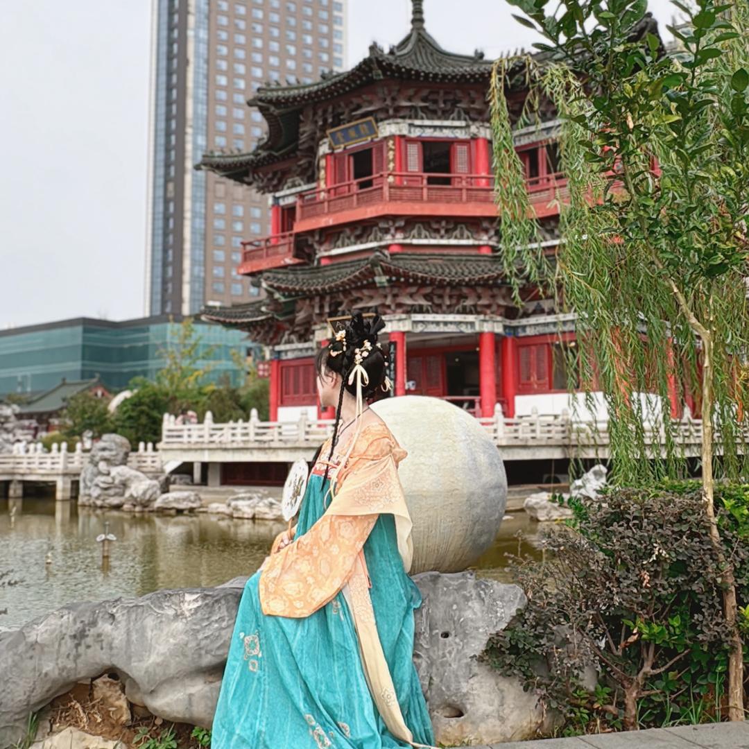 土豆土豆我是洋芋