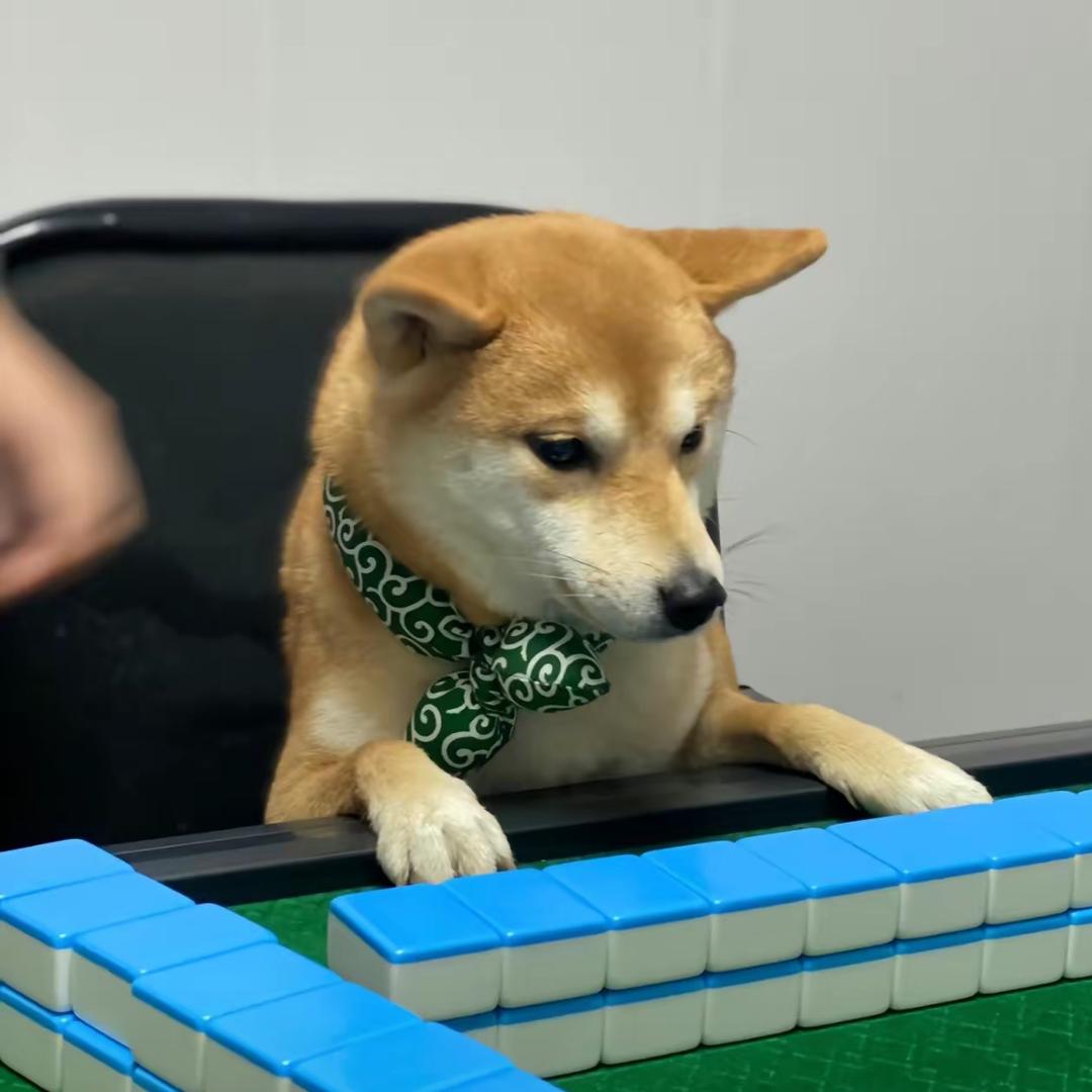 吼吼吼
