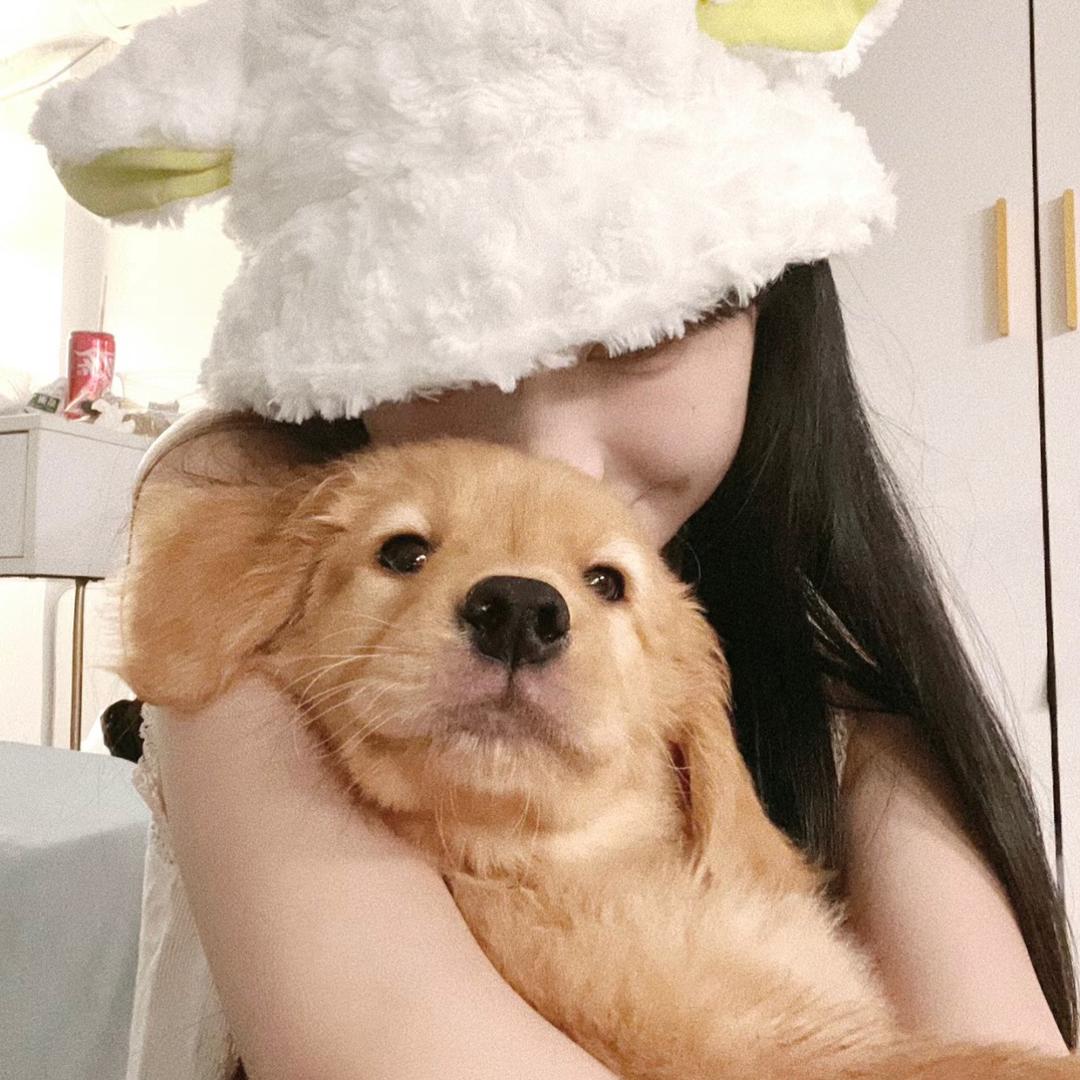颂灏💗