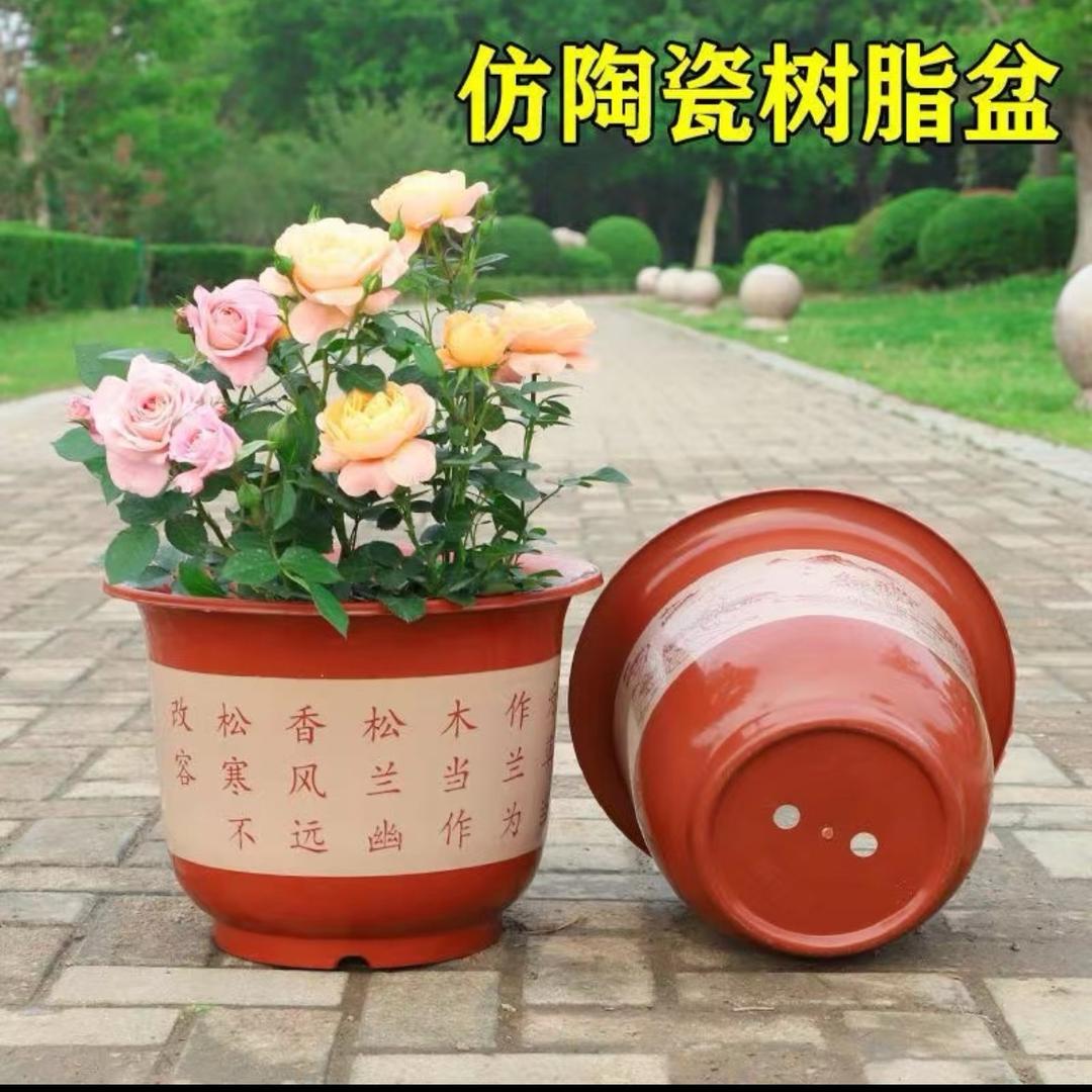 开运花盆总店