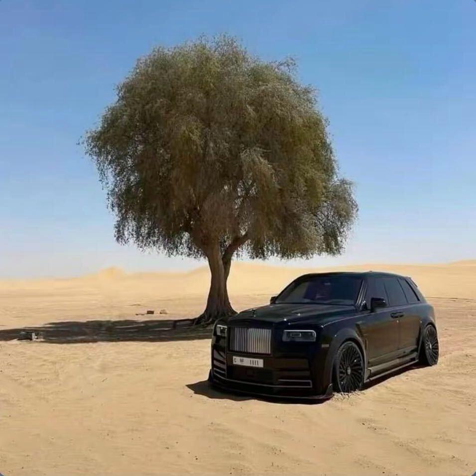 𝓙𝓲𝓪𝓷𝓰🐆