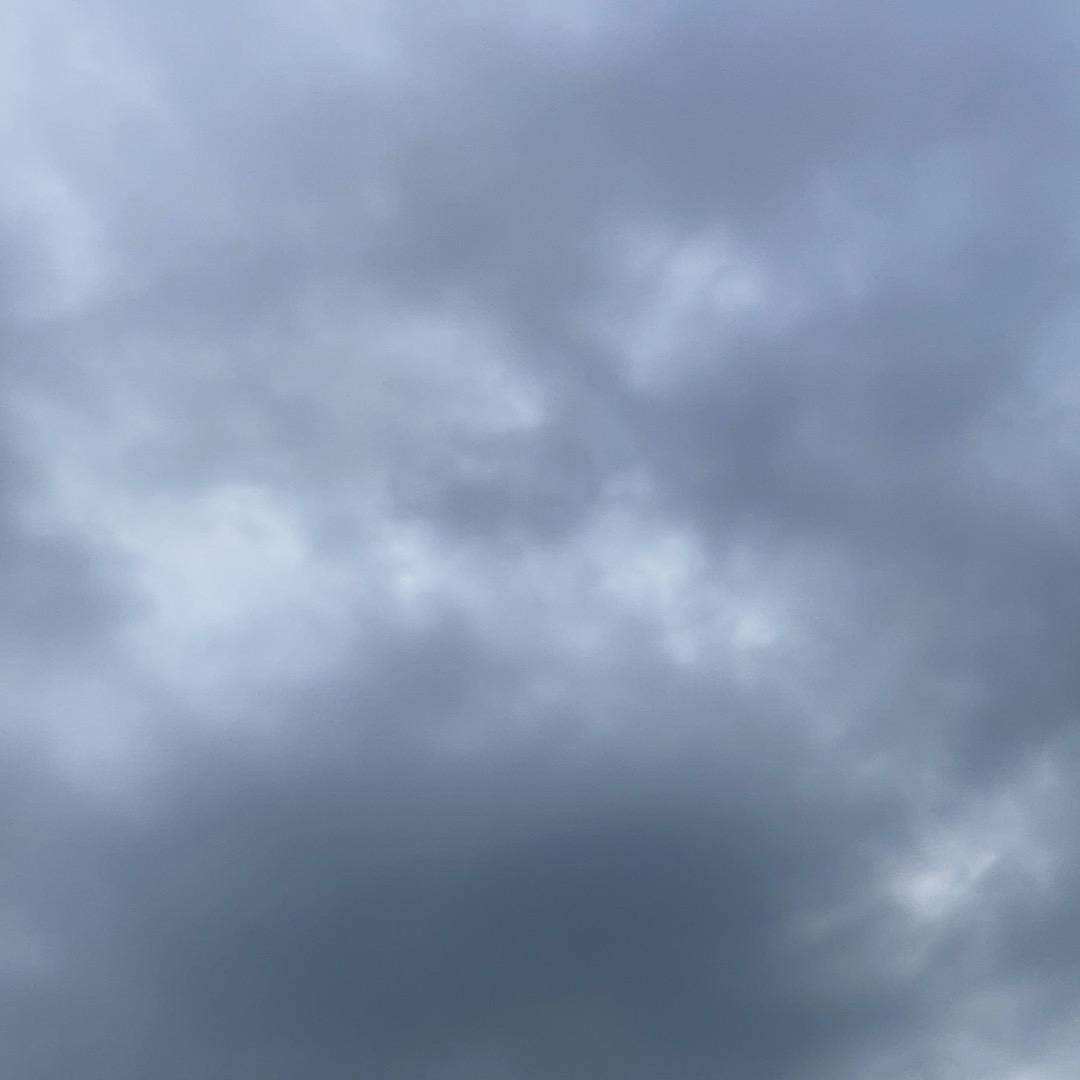 番茄你个憨憨