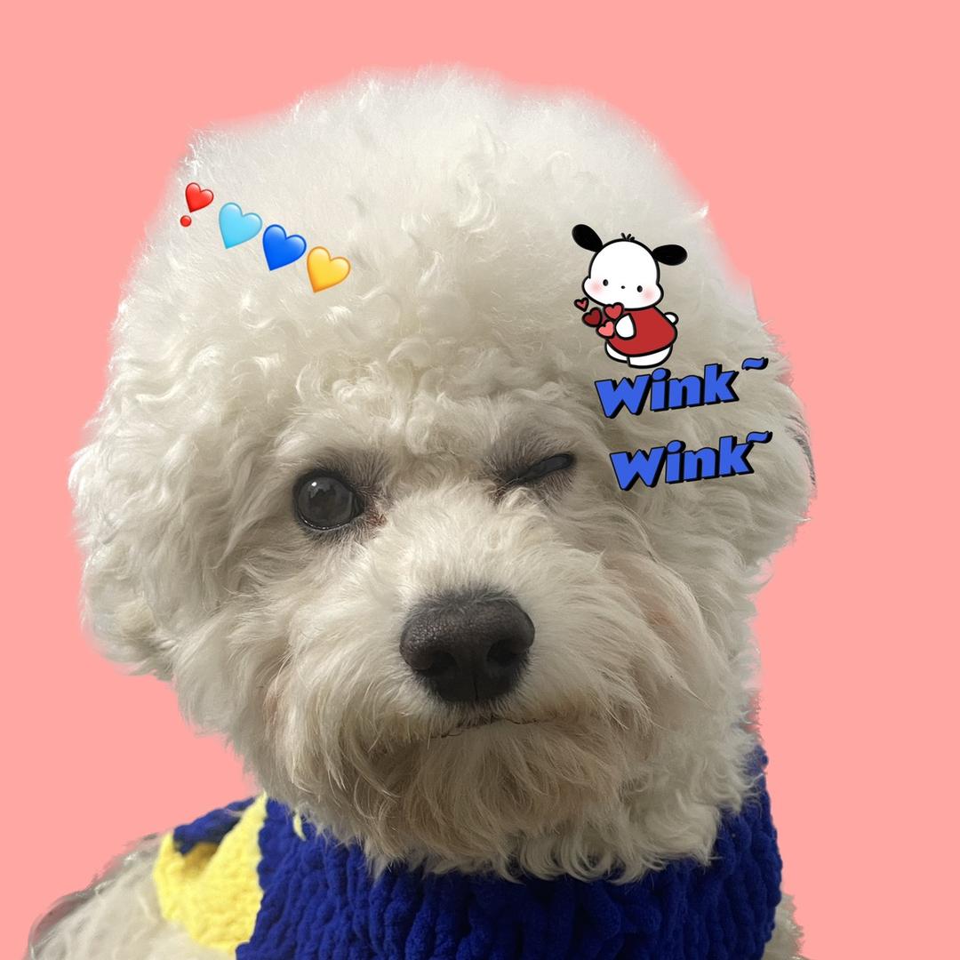 吖FiONA吖