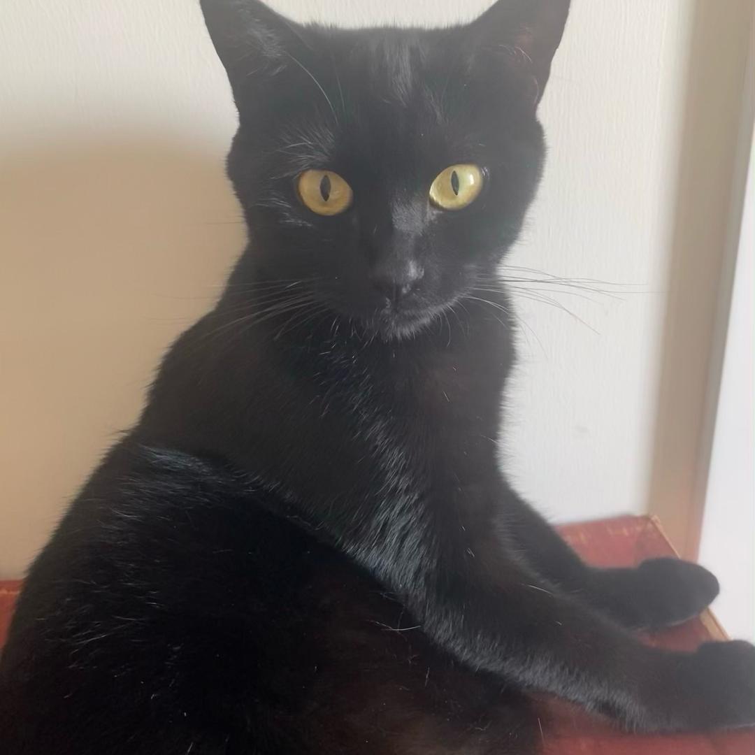 我是小仙女🧚‍♀️