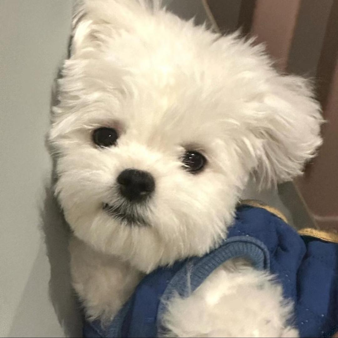 世界乱套我睡觉