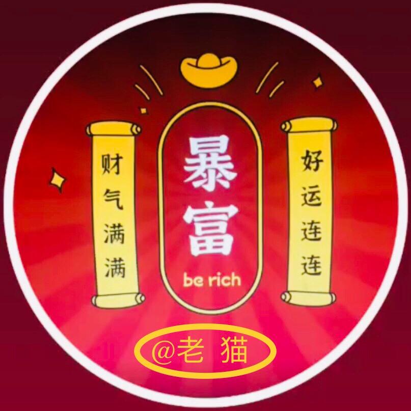 老猫