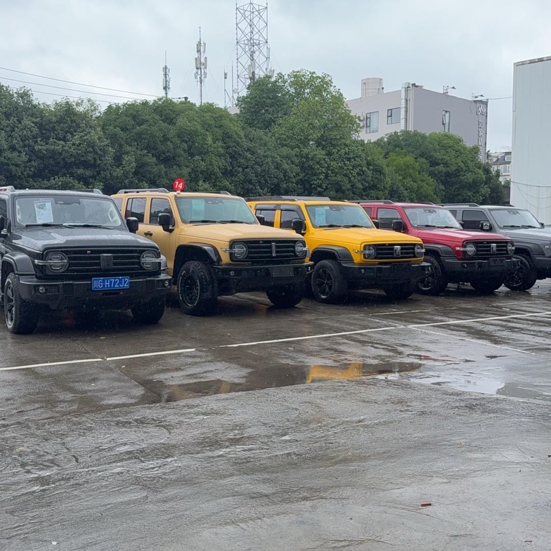 成都鑫皇•坦克二手车