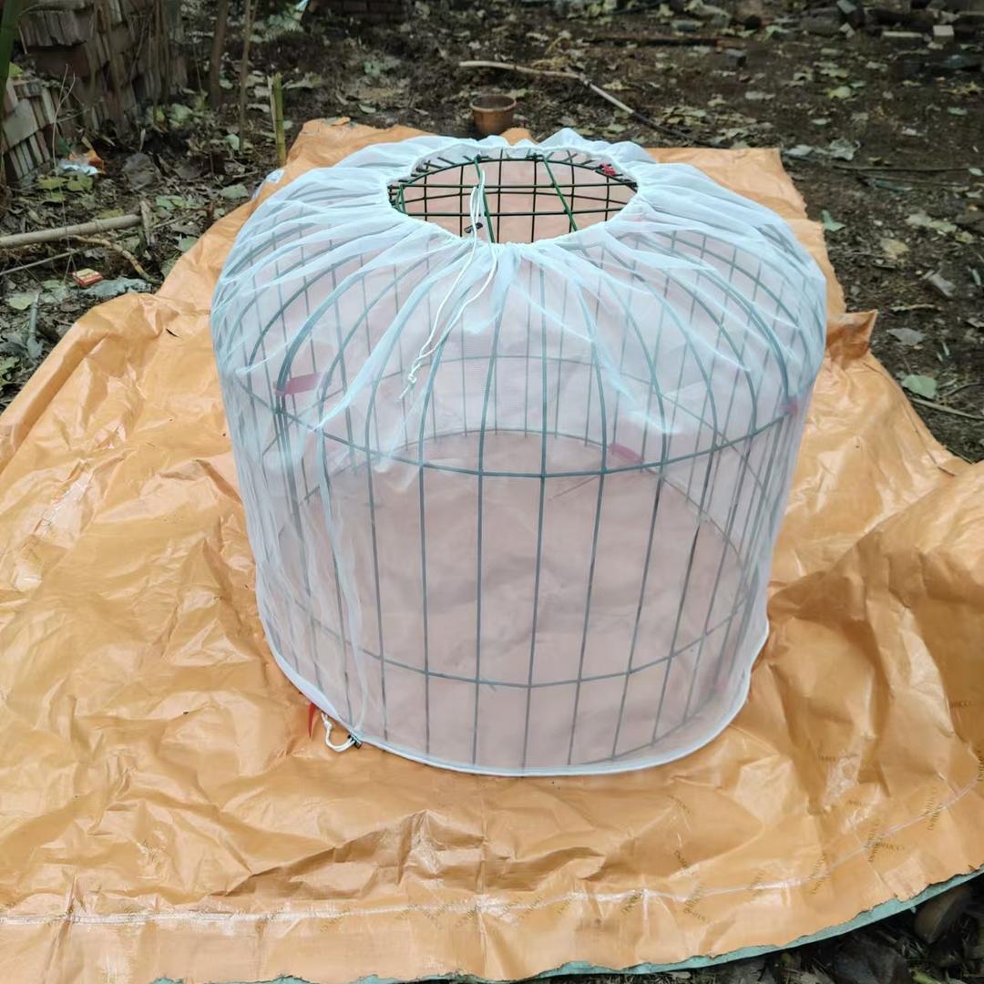 武六七斗鸡设备