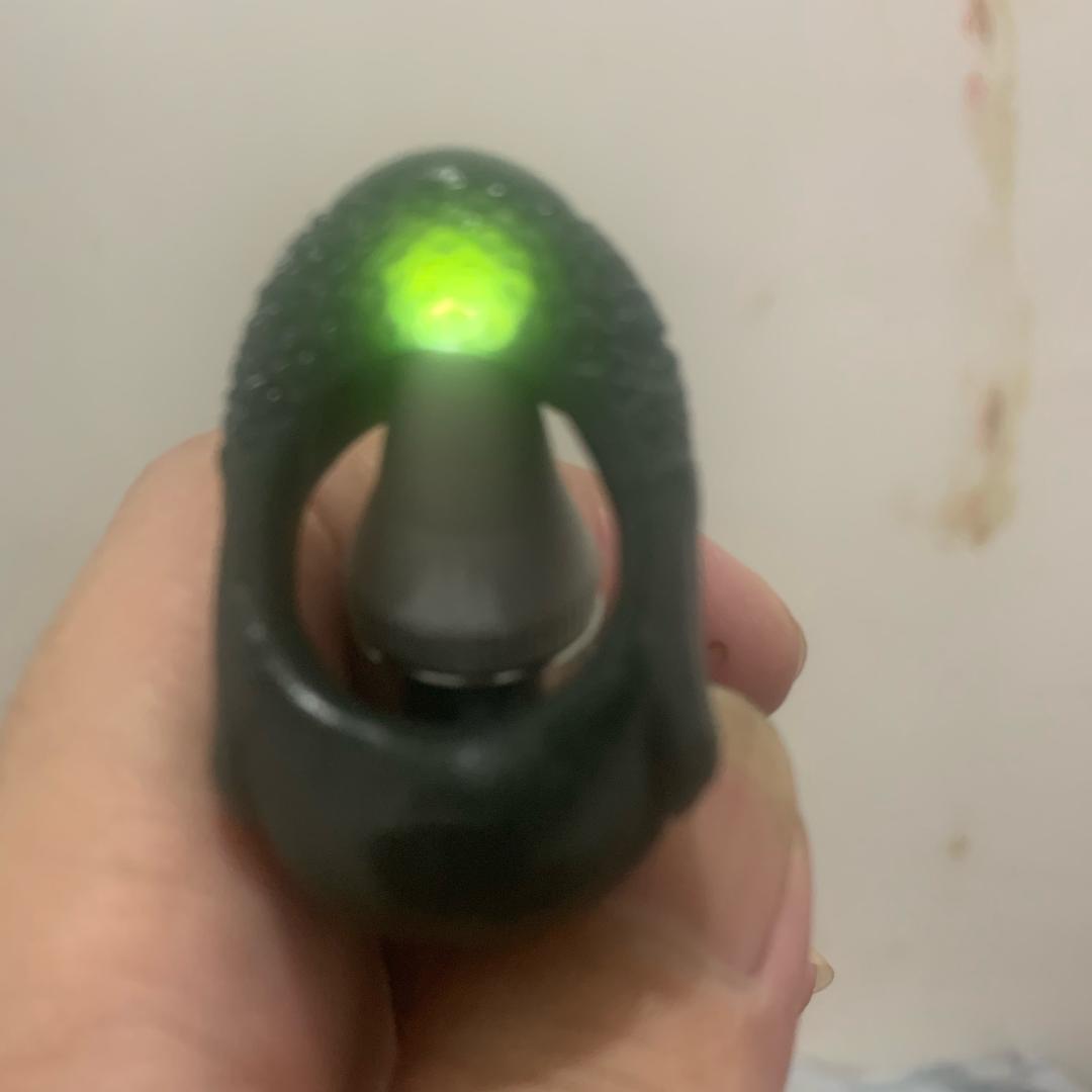 王家羊