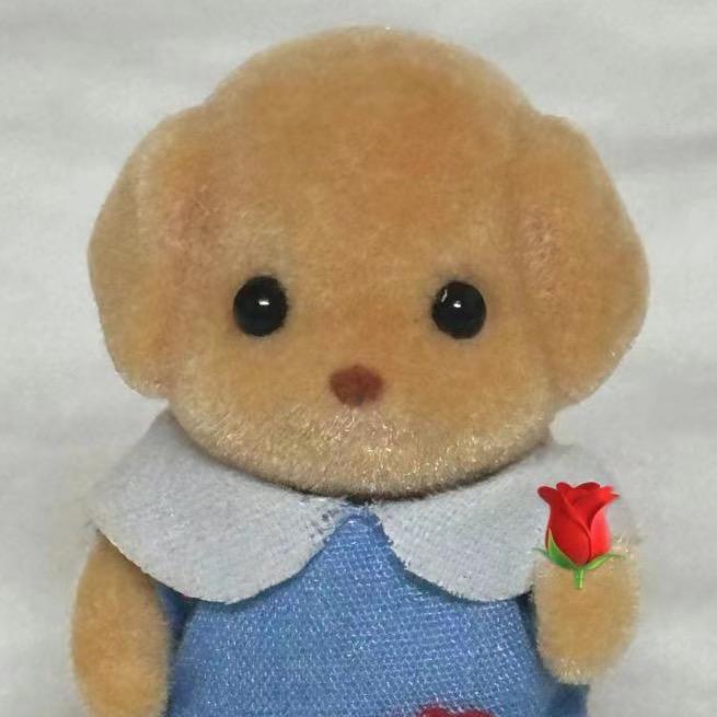 小伙伴