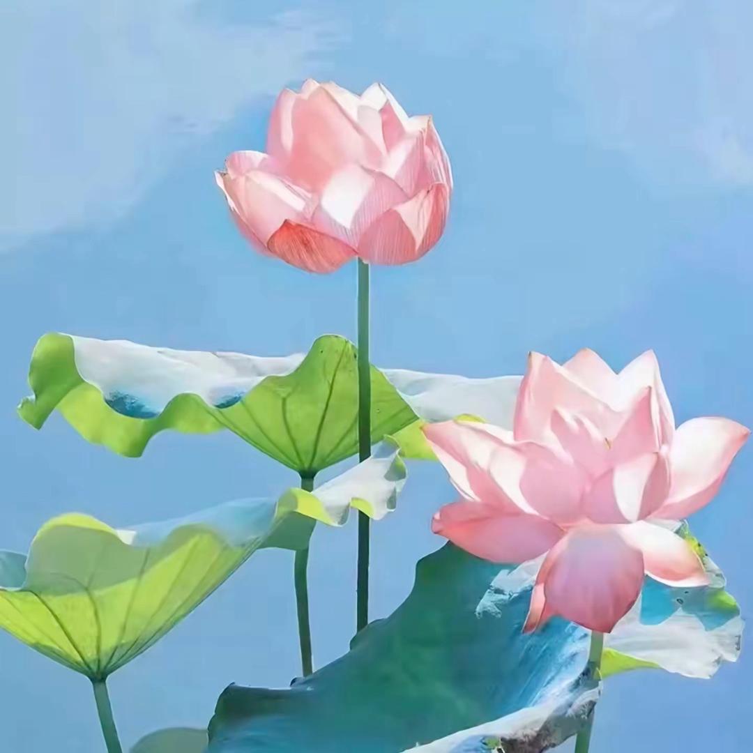 多多向前冲