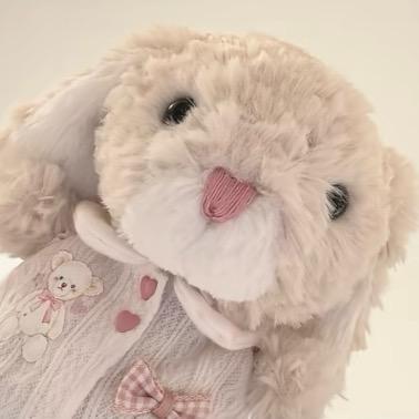 早晚笑死这个世界