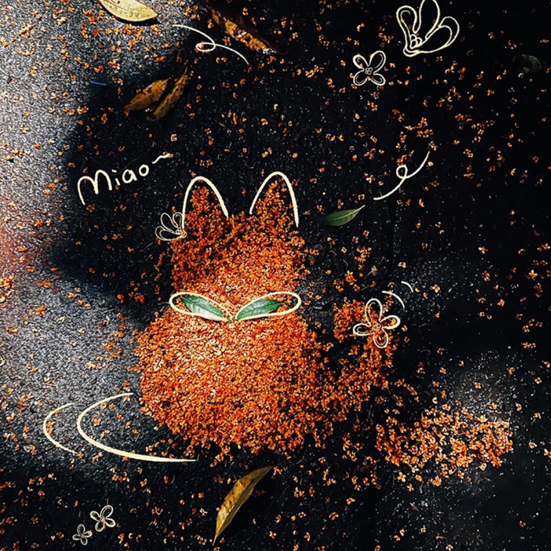 墨晨磬馨百货
