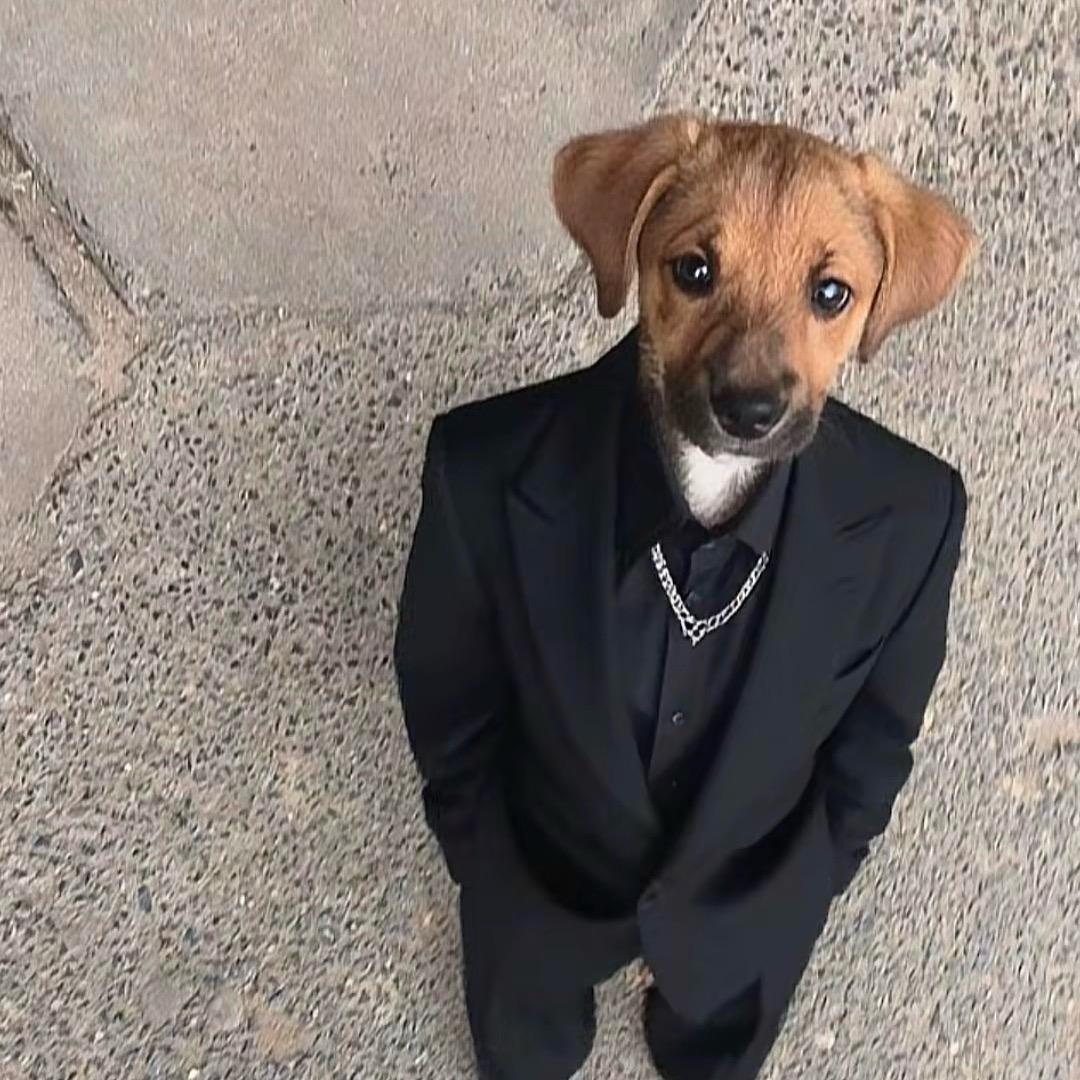 Gye X（村一娜）　 　　　　　　🪳